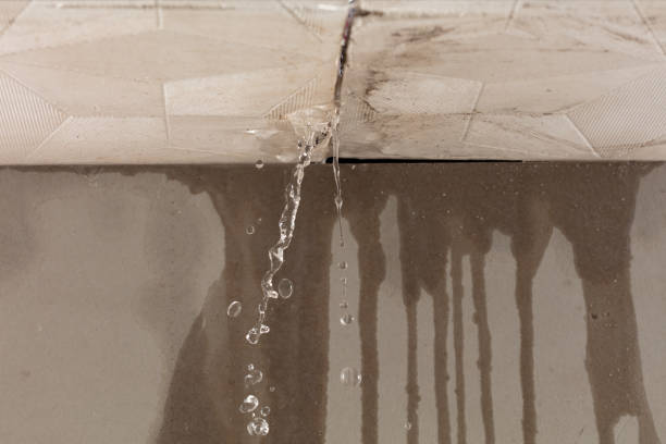 Professional Burst Pipe Cleanup technician working in Frazee, MN